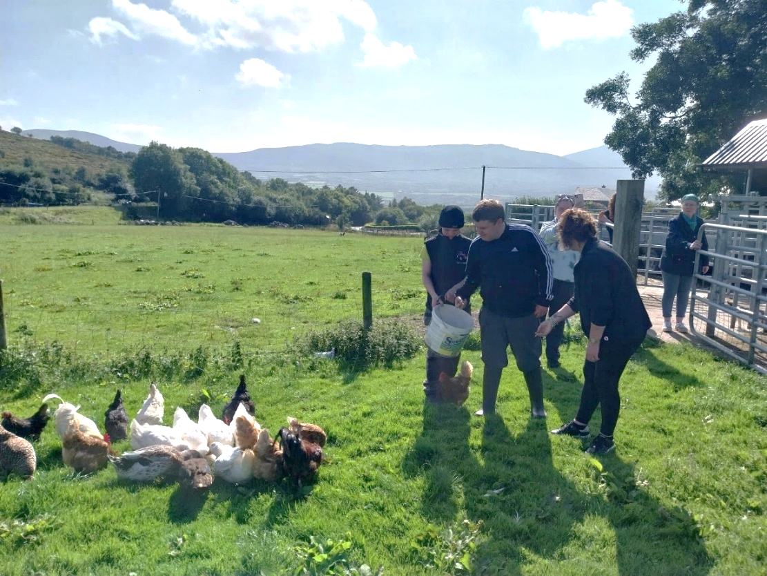 Kerry Social Farming